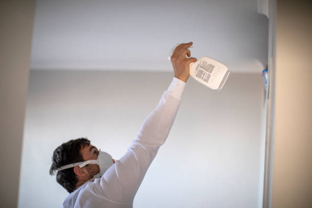 Professional Mold Removal in Diberville, MS