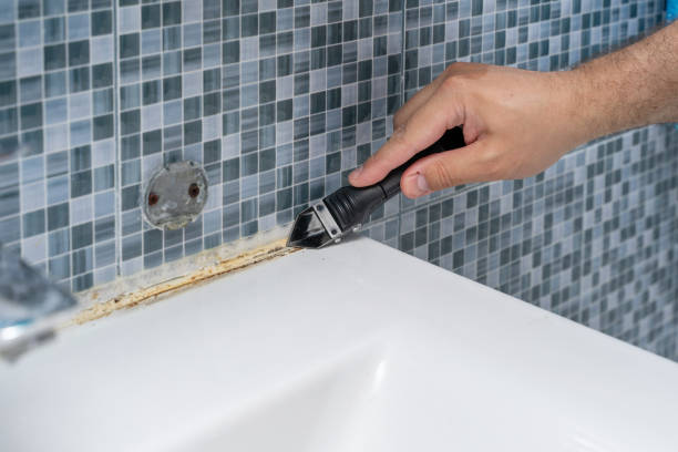 Best Attic Mold Removal  in Diberville, MS